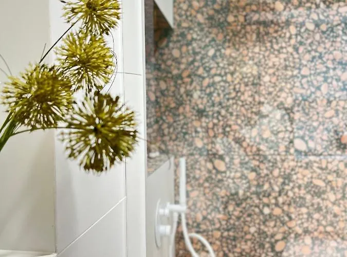 Monciak55 By Staylab 3*